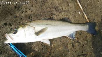 �����Х�