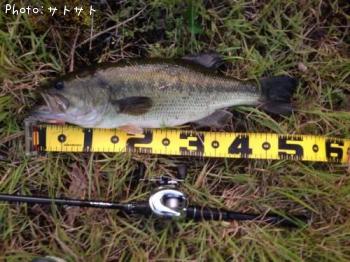 ¥Ö¥é¥Ã¥¯¥Ð¥¹