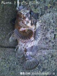 �����Υ���Х�