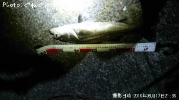 �����Х�