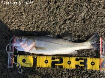 �����Х�