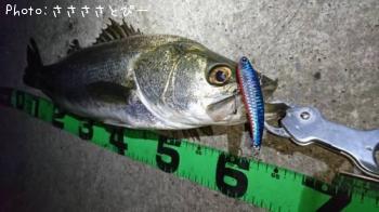 �����Х�