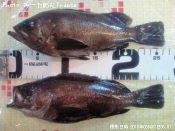 ¥¦¥¥½¥á¥Ð¥ë