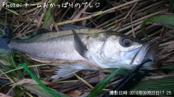 �����Х�