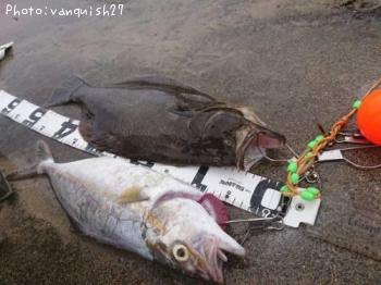 �ҥ������祴