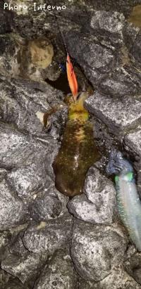 �����ꥤ��