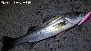 �����Х�