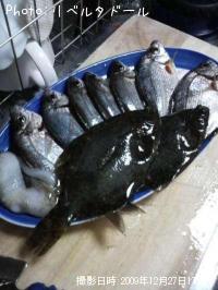 ¥¦¥ß¥¿¥Ê¥´