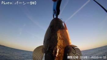 �����Х�