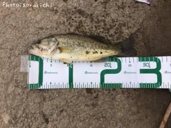 �֥�å��Х�