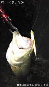 ¥Ö¥é¥Ã¥¯¥Ð¥¹