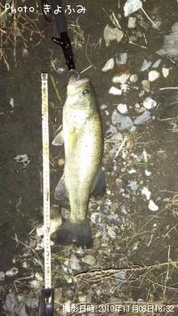 ¥Ö¥é¥Ã¥¯¥Ð¥¹