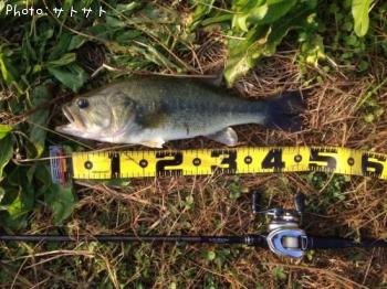 �֥�å��Х�