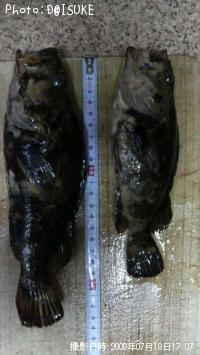 ¥¿¥±¥Î¥³¥á¥Ð¥ë