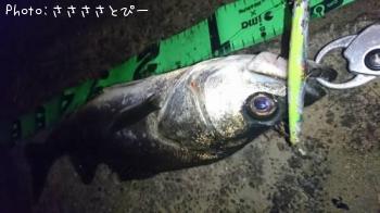 �����Х�