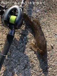 �����ʥ�