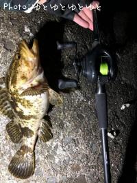 �����Υ���Х�