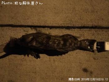 �����ʥ�