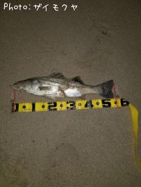 �����Х�