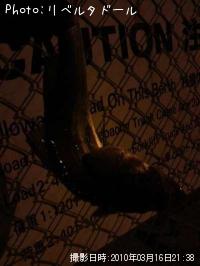 �����Х�