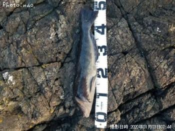 �����ʥ�