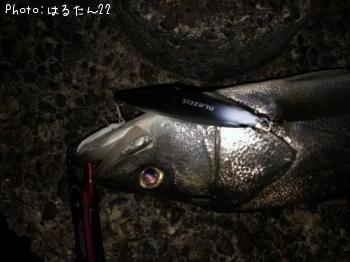 �����Х�