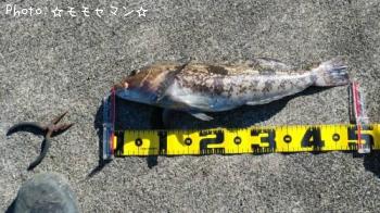 �����ʥ�