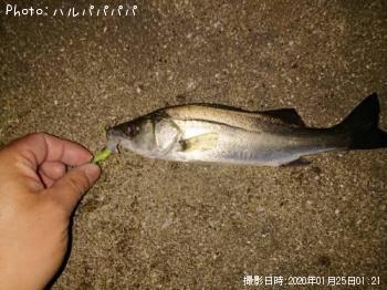 �����Х�