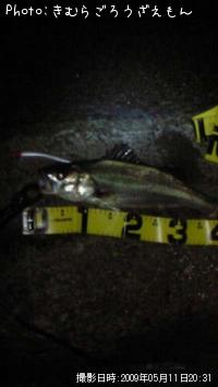 �����Х�