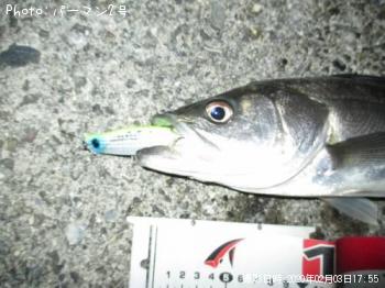 �����Х�