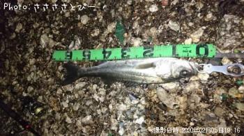 �����Х�