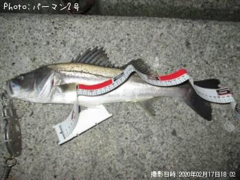 �����Х�