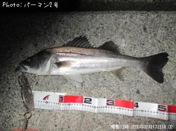 �����Х�