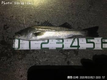 �����Х�