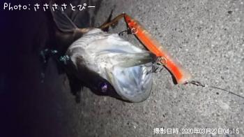 �����Х�