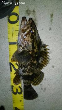 �����Υ���Х�