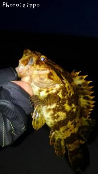 �����Υ���Х�