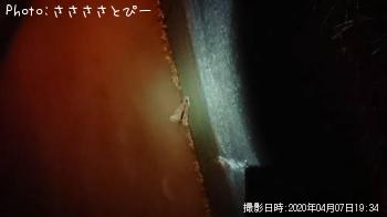 �����Х�