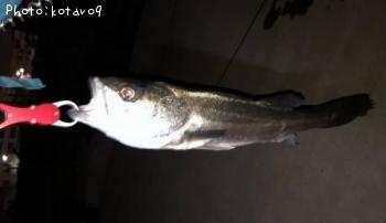 �����Х�