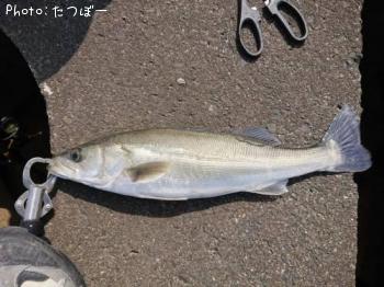 �ҥ饹����