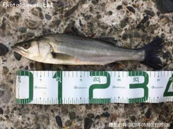 �����Х�