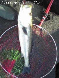 �����Х�