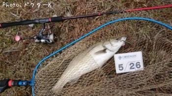 �����Х�