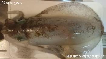 �����ꥤ��