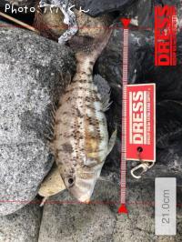 ���ȥե��ե�