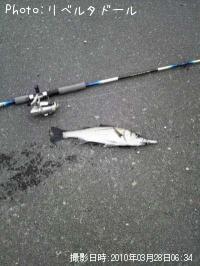 �����Х�