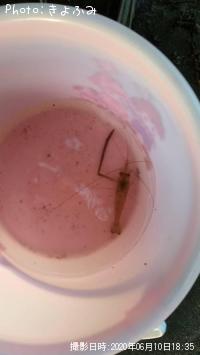 �ƥʥ�����