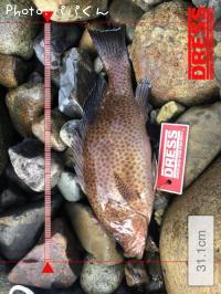 �������ϥ�