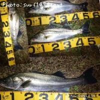 �����Х�