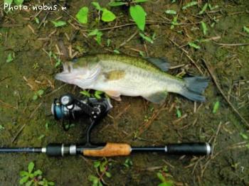 ¥Ö¥é¥Ã¥¯¥Ð¥¹